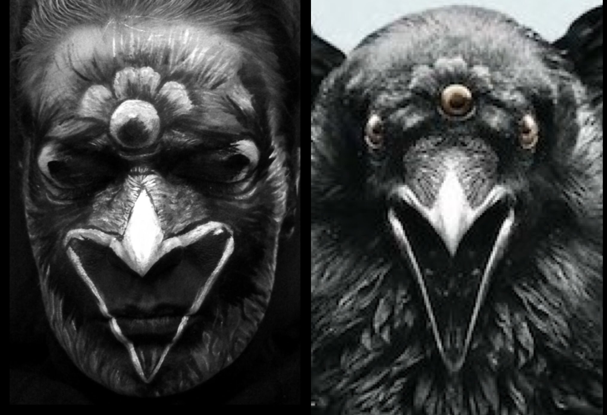 2030x1388 Game Of Thrones Three Eyed Raven Face Painting Tutorial! - Painting Of A Raven