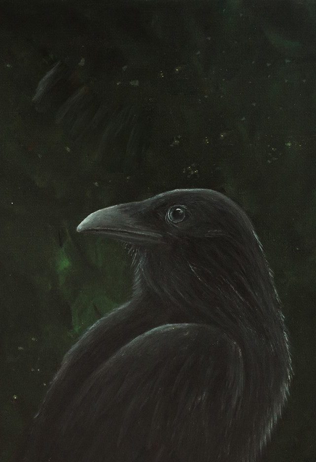 641x936 Portrait Of A Raven ~ Archival Art Print Deborah Sheehy - Painting Of A Raven