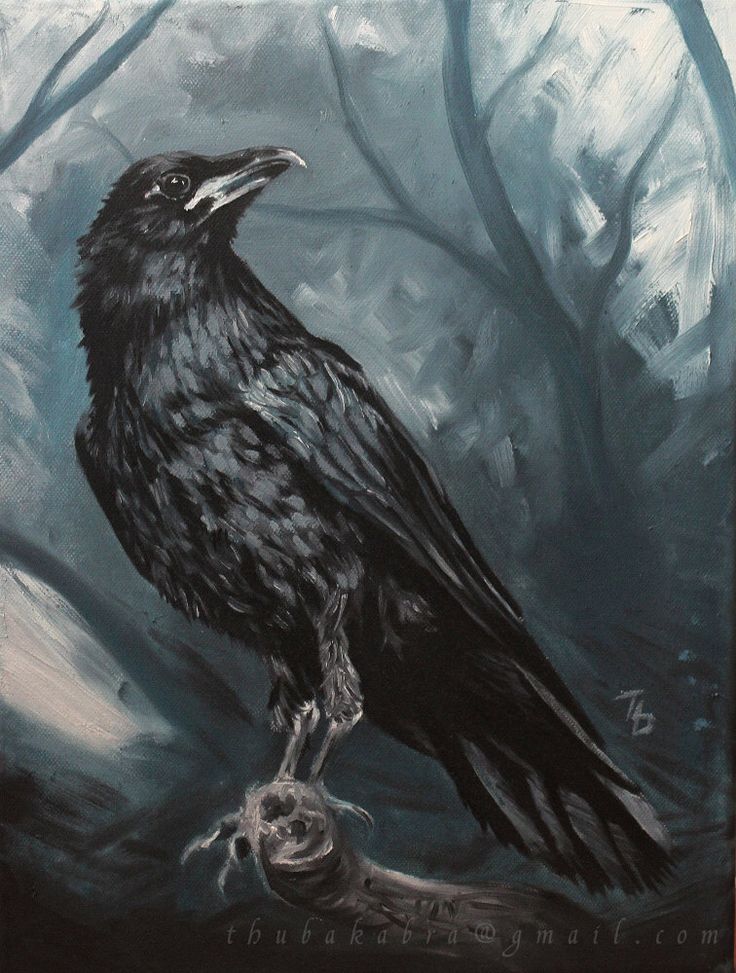 736x973 Raven Painting Print Of Painted Raven Art, Raven Art Print - Painting Of A Raven
