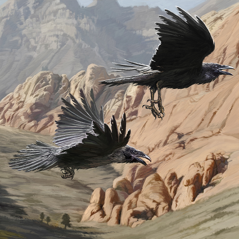 792x792 A Gallery Of Illustration By Dan Burrbook Art Dan Burr Illustration - Painting Of A Raven