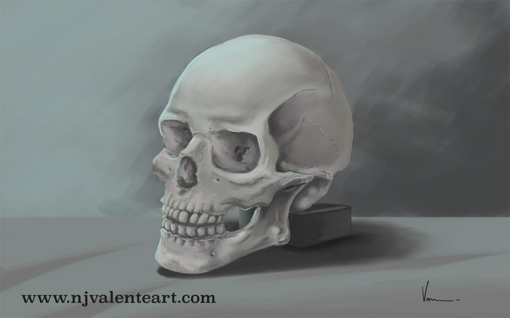 1024x640 Painting Of A Skull By Njvalente - Painting Of A Skull