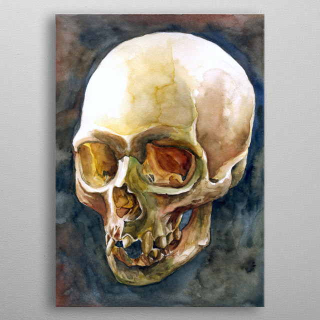 640x640 Skull Watercolour Painting - Painting Of A Skull