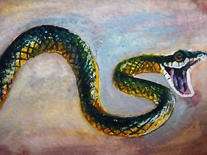 Painting Of A Snake at PaintingValley.com | Explore collection of ...