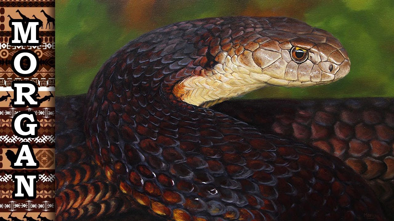 1280x720 Painting A Snake Oil Painting Tutorial - Painting Of A Snake