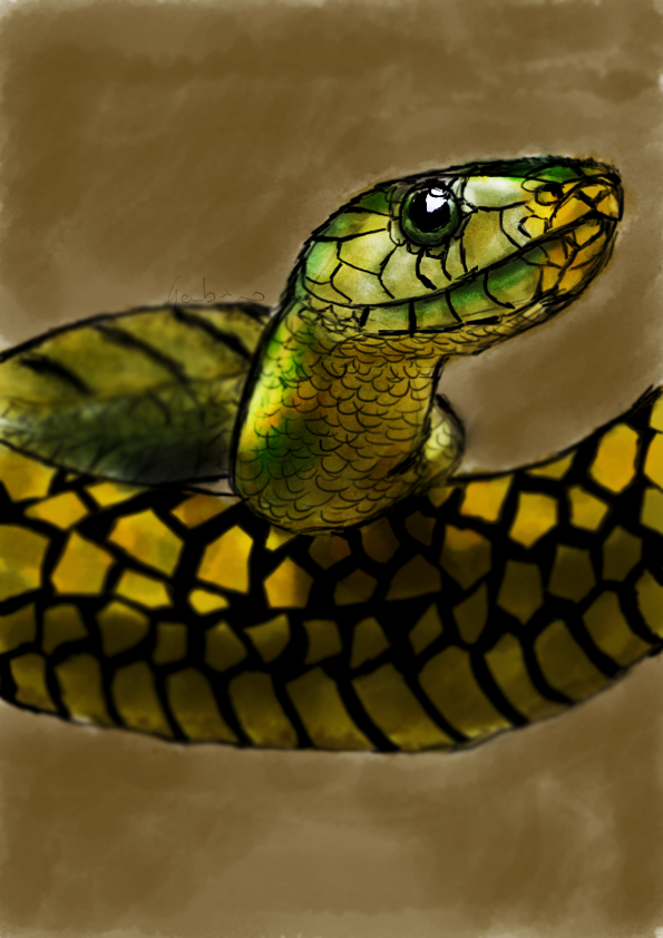595x842 Snake - Painting Of A Snake