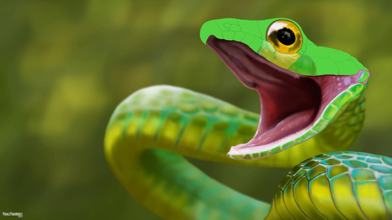 1280x720 Snake - Painting Of A Snake