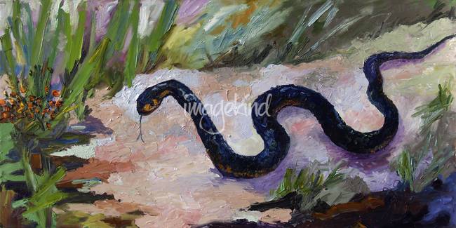 650x325 Black Indigo Snake Oil Painting By Ginette By Ginette Callaway - Painting Of A Snake