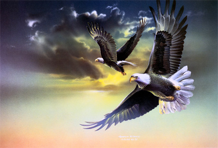 432x294 Bird Paintings, Animal Amp Wildlife Paintings, Paintings Of Animals - Painting Of Animals