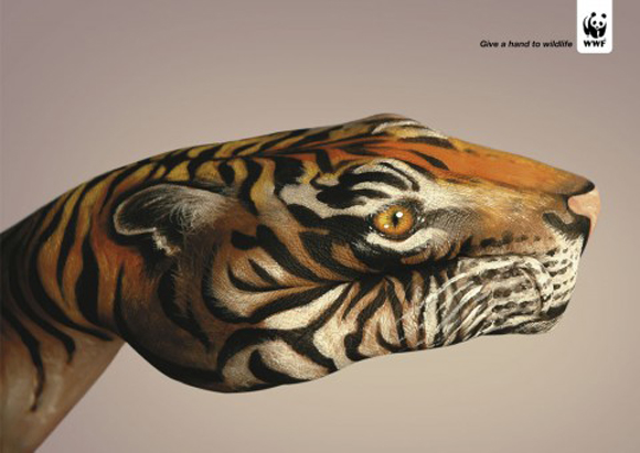 580x411 Guido Daniele Creates Amazing Real Like Animals By Hand Painting - Painting Of Animals