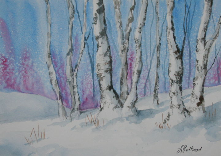 720x511 Leslie Redhead Fine Art Winter Birch Trees - Painting Of Birch Trees In Winter