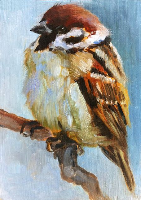 455x646 1067 Best Birds Amp Animals Images - Painting Of Birds In Acrylic