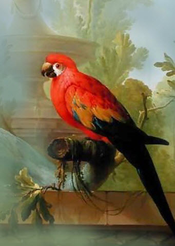 341x478 How To Paint Birdslearn To Paint Red Birds That Glow With Brilliance! - Painting Of Birds In Acrylic