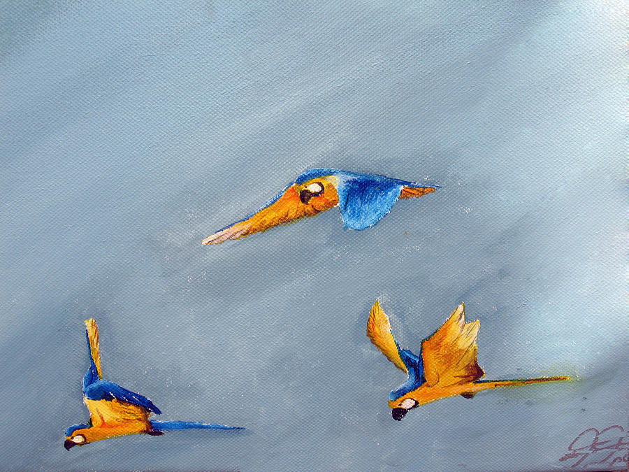 900x675 Birds In Flight Painting By Christian Hidalgo - Painting Of Birds In Flight