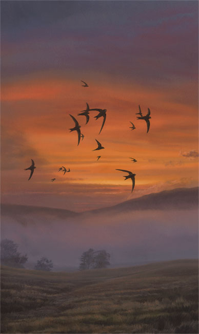 388x650 Bird Paintings For Sale - Painting Of Birds In Flight