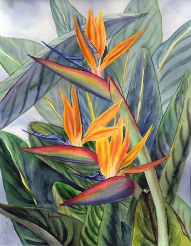 392x504 Bird Of Paradise Flower Art - Painting Of Birds Of Paradise Flowers