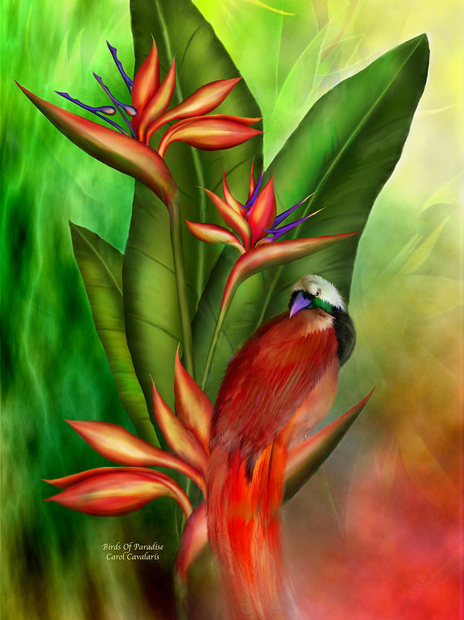 Painting Of Birds Of Paradise Flowers at Explore