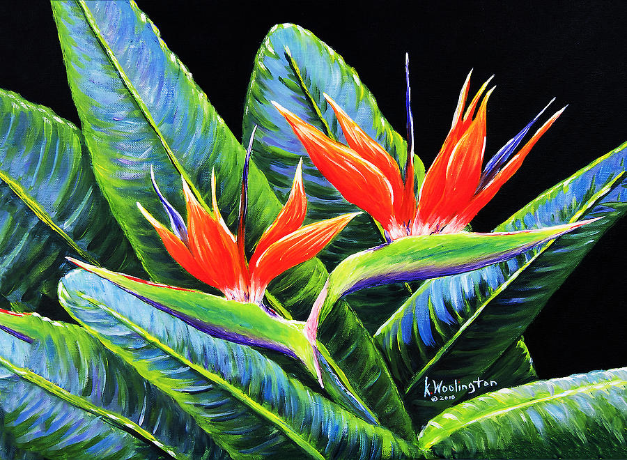 900x660 Birds Of Paradise Painting By Kathy Woolington - Painting Of Birds Of Paradise Flowers