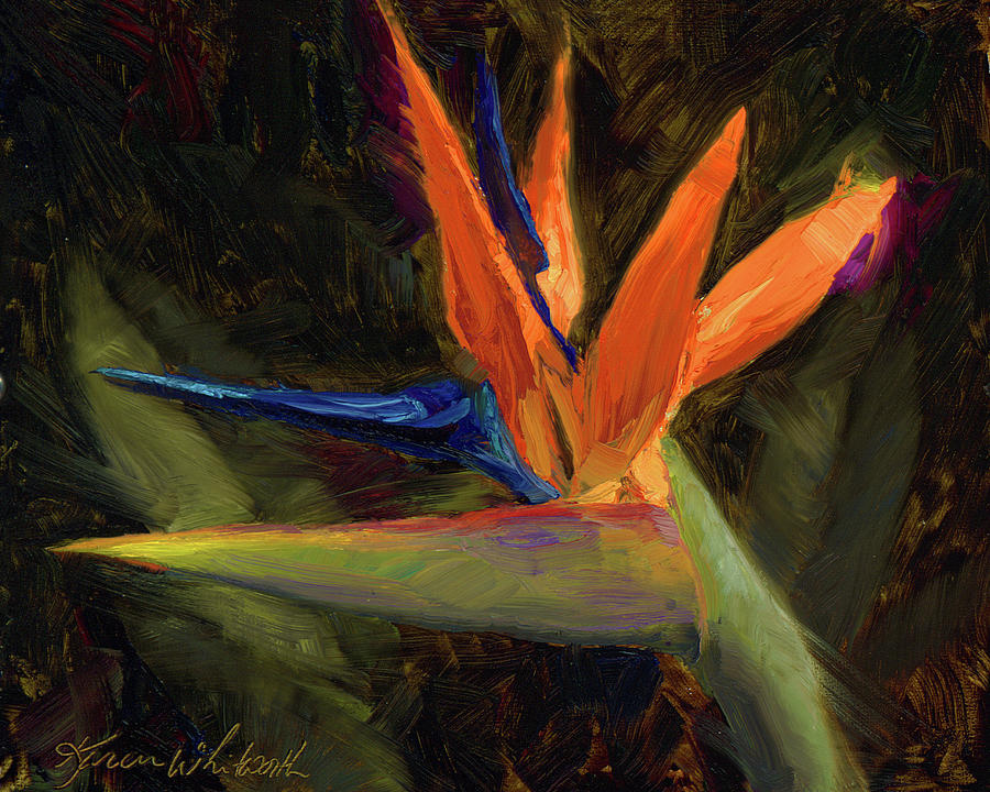 900x720 Extravagance - Painting Of Birds Of Paradise Flowers