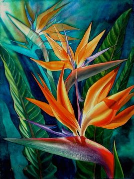 269x360 Transparent Watercolor Bird Of Paradise Workshop Master Bedroom - Painting Of Birds Of Paradise Flowers
