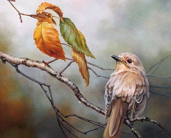 568x460 Painted Bird Optical Illusion - Painting Of Birds On Branches
