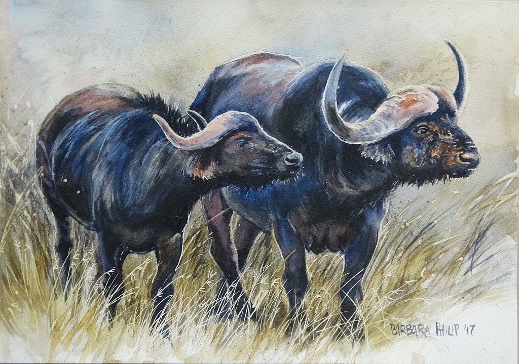 1024x719 A Pair Of Buffalo Barbara Philip - Painting Of Buffalo