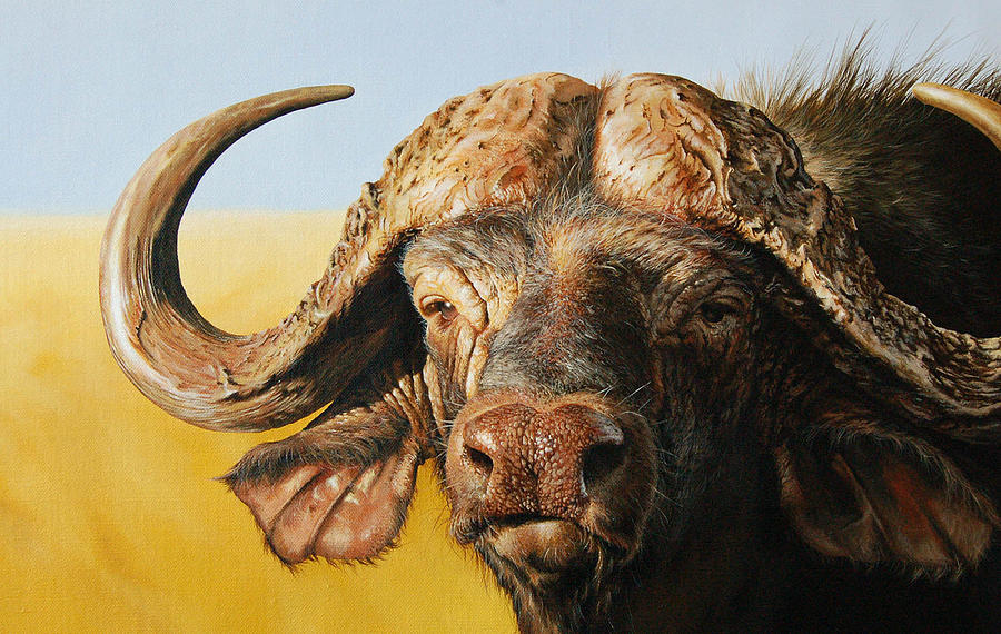 900x570 African Buffalo Painting By Mario Pichler - Painting Of Buffalo
