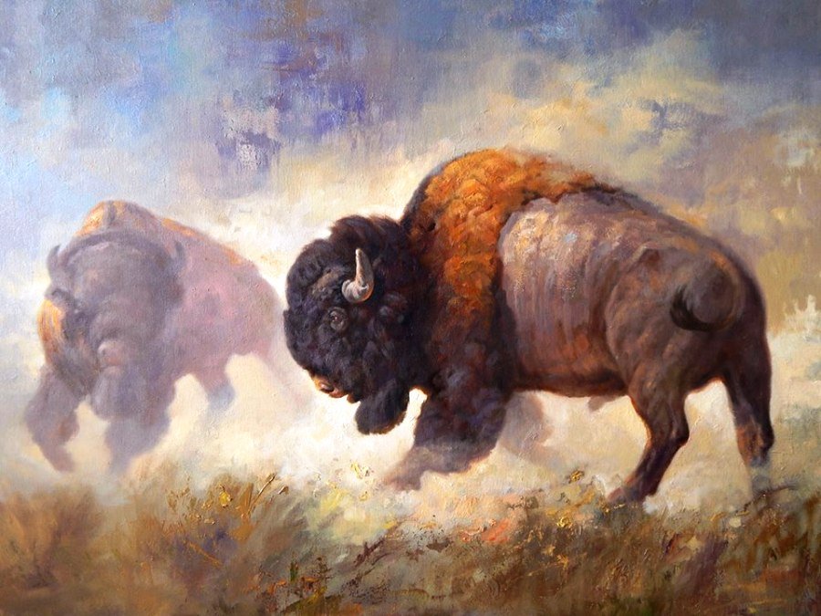 900x675 Buffalo Art Duel By Dave Merrill - Painting Of Buffalo