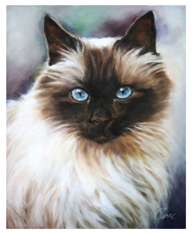 736x899 Paintings Of Cats - Painting Of Cats