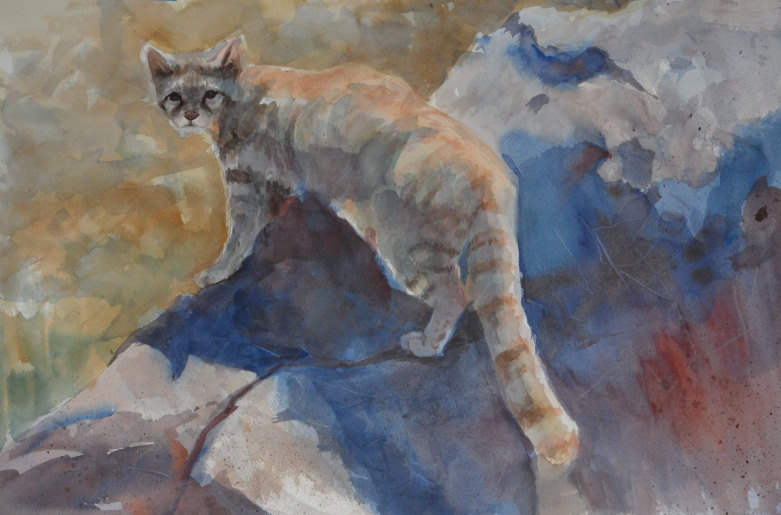781x515 Paintings Of Wild Cats For Sale Watercolors By Mimi Torchia Boothby - Painting Of Cats