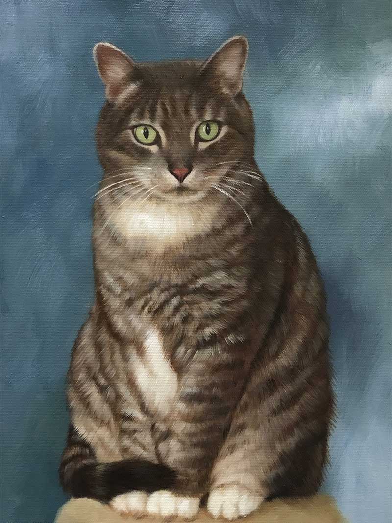 800x1066 Acrylic Cat Portraits Cat Paintings In Acrylic - Painting Of Cats