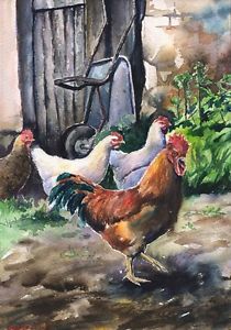 210x300 Farm Rooster Watercolor Print Of The Original Watercolor Painting - Painting Of Chickens
