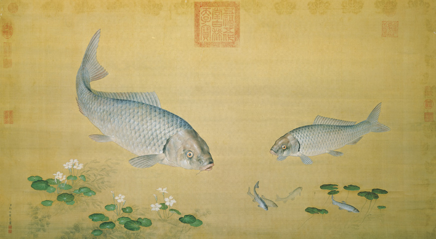 873x480 Lang Shining Fish And Water Plants Chinese Painting China - Painting Of Fish In Water