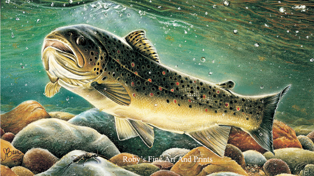 640x359 Pastel Brown Trout Painting - Painting Of Fish In Water
