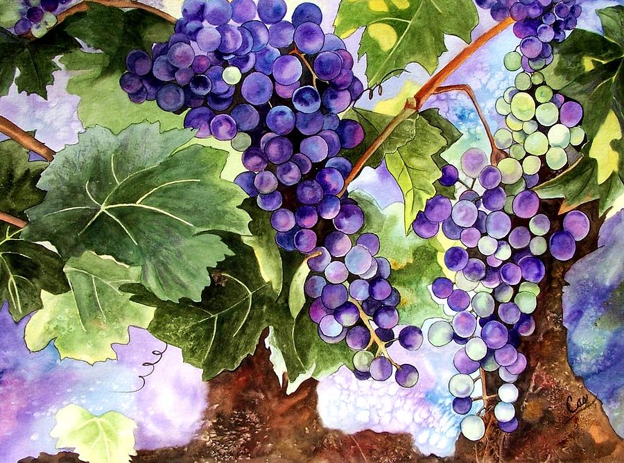900x668 Grape Vines Painting By Karen Casciani - Painting Of Grapevines