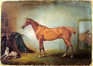 300x213 Horse Painting Ebay - Painting Of Horses