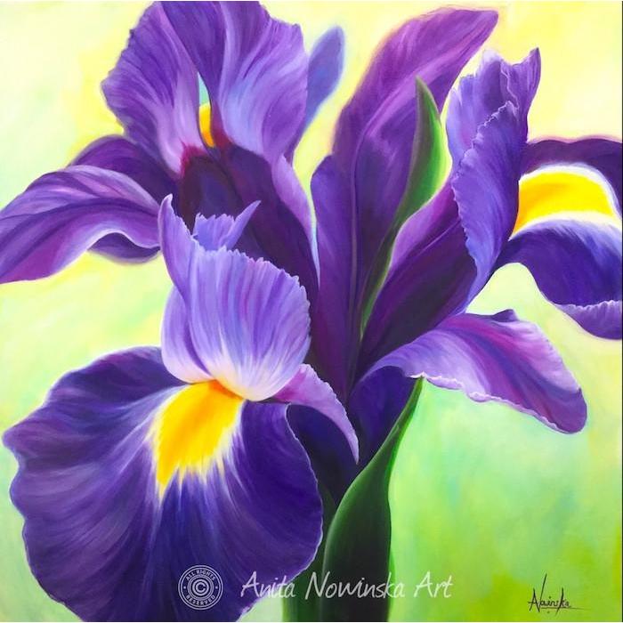 700x700 Creation Purple Iris Flower Painting Oil On Canvas Anita Nowinska - Painting Of Iris Flower