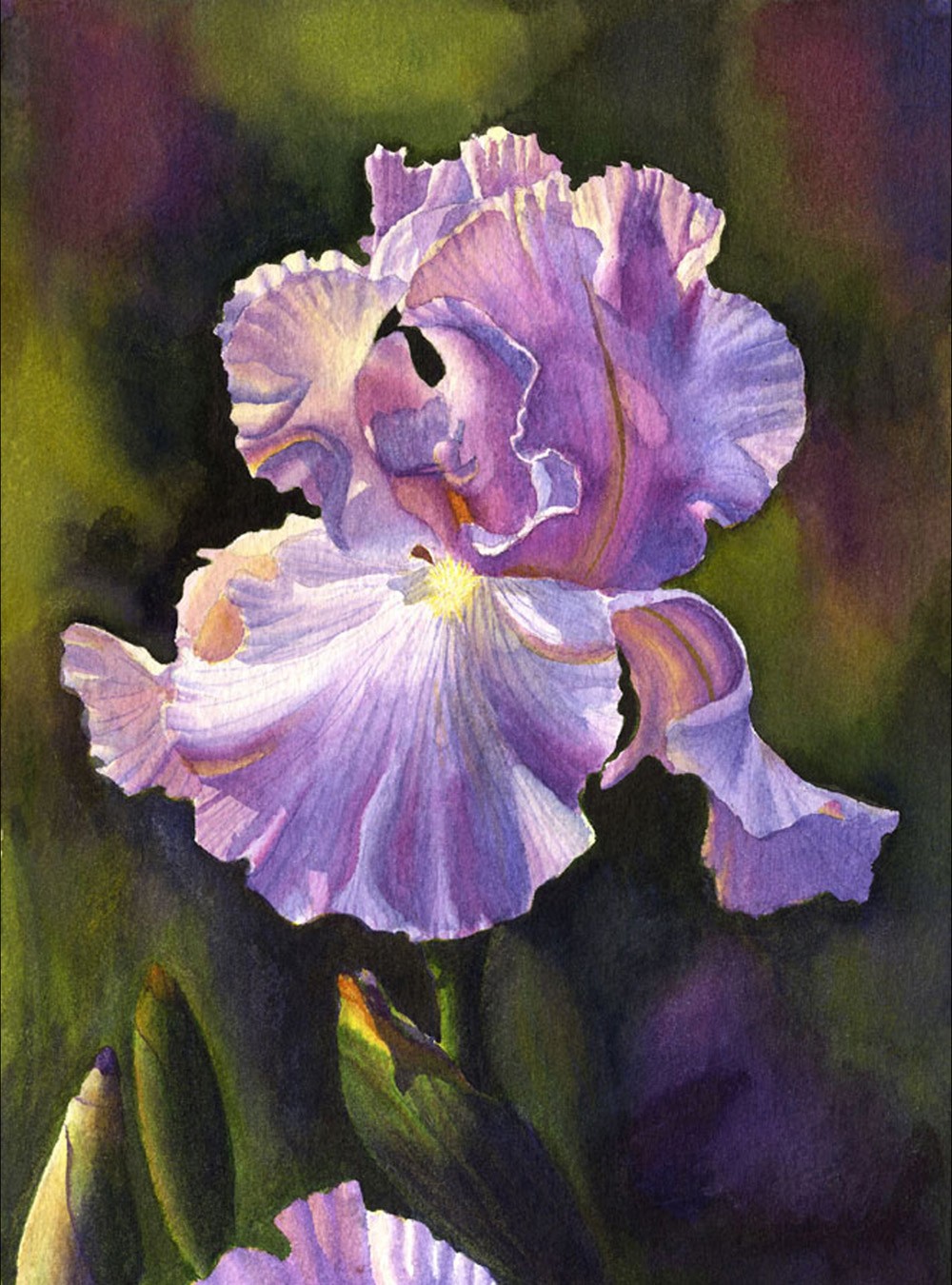1000x1350 Iris Flower Paintings Image Collections - Painting Of Iris Flower