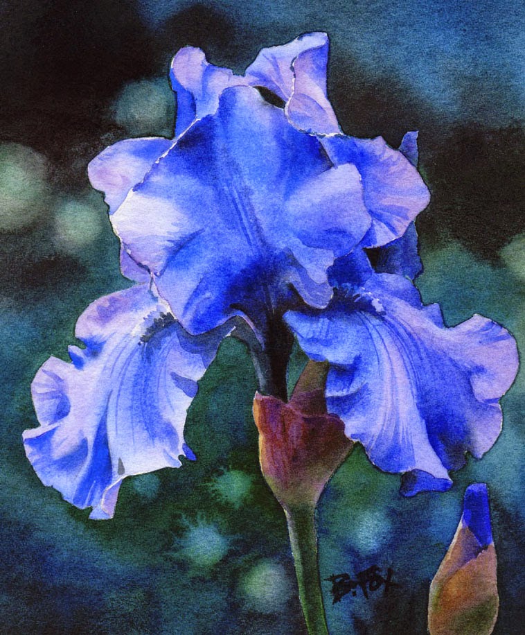 758x916 Barbara Fox - Painting Of Iris Flower