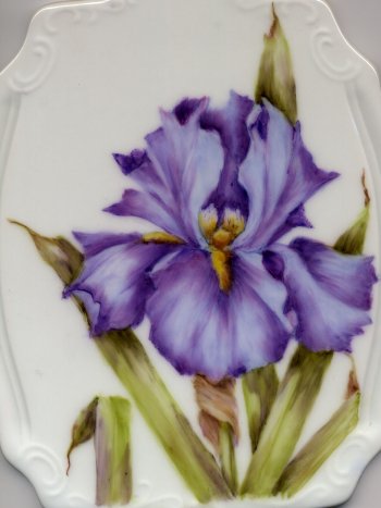 350x467 Iris By Donna Debling - Painting Of Iris Flower