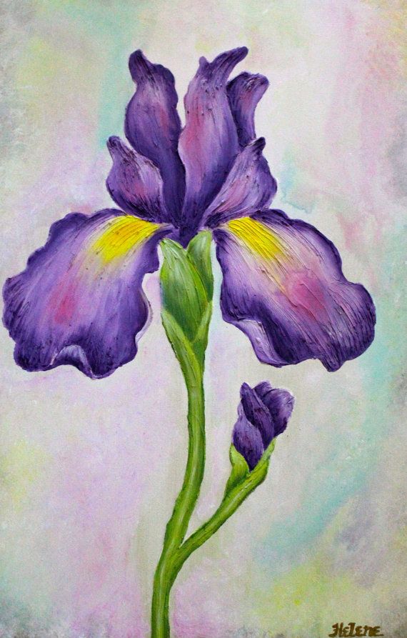 570x893 Best 25 Purple Iris Ideas On Iris Flowers Iris - Painting Of Iris Flower