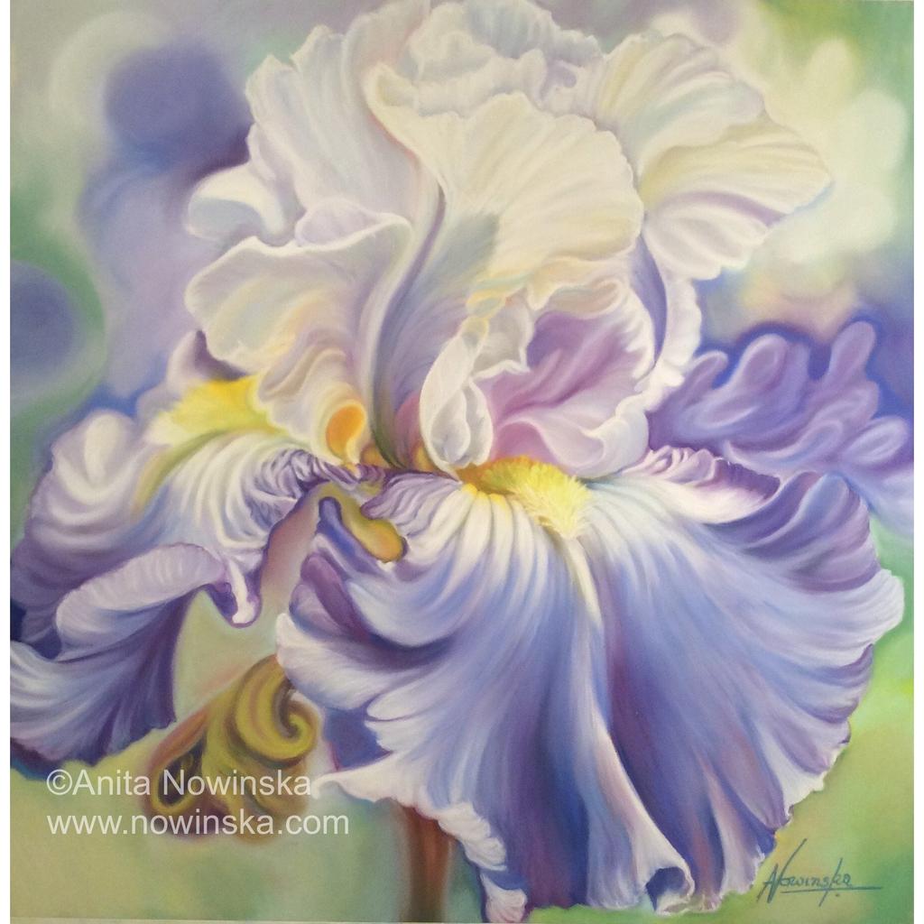 1024x1024 Bright Spirit - Painting Of Iris Flower