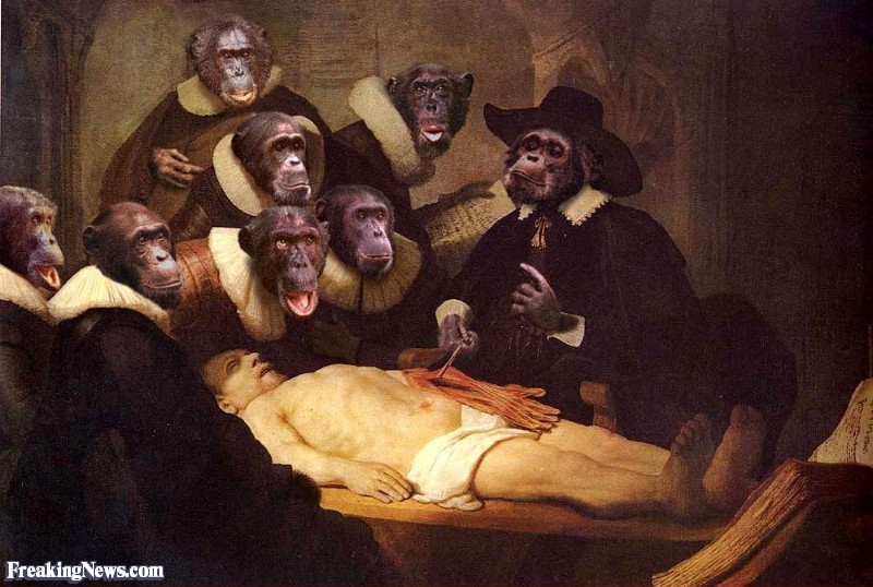 800x538 Monkey Art Pictures - Painting Of Monkeys