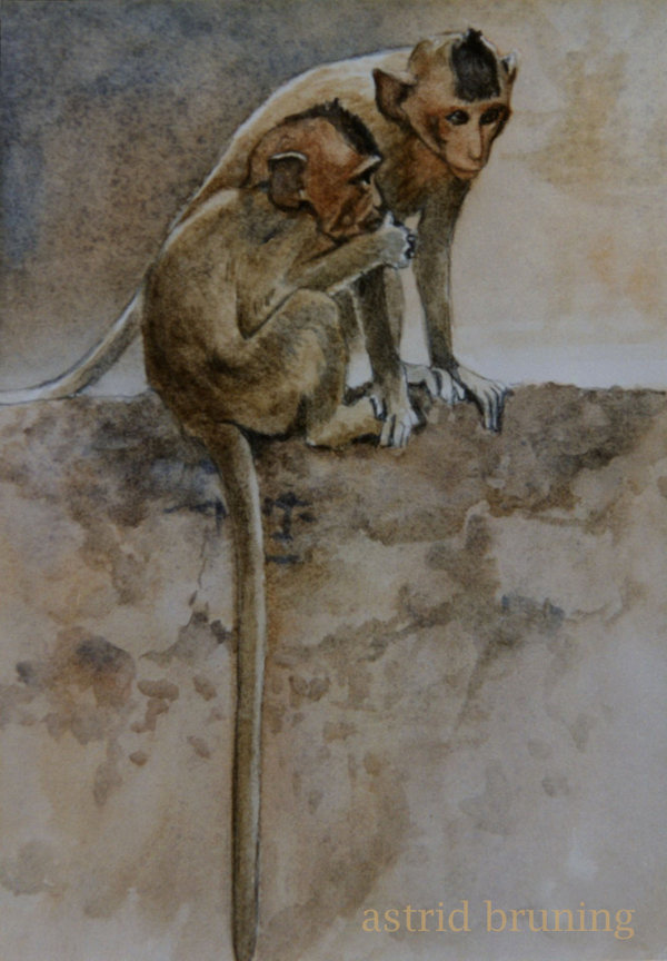 600x864 Temple Monkey No. 3 - Painting Of Monkeys