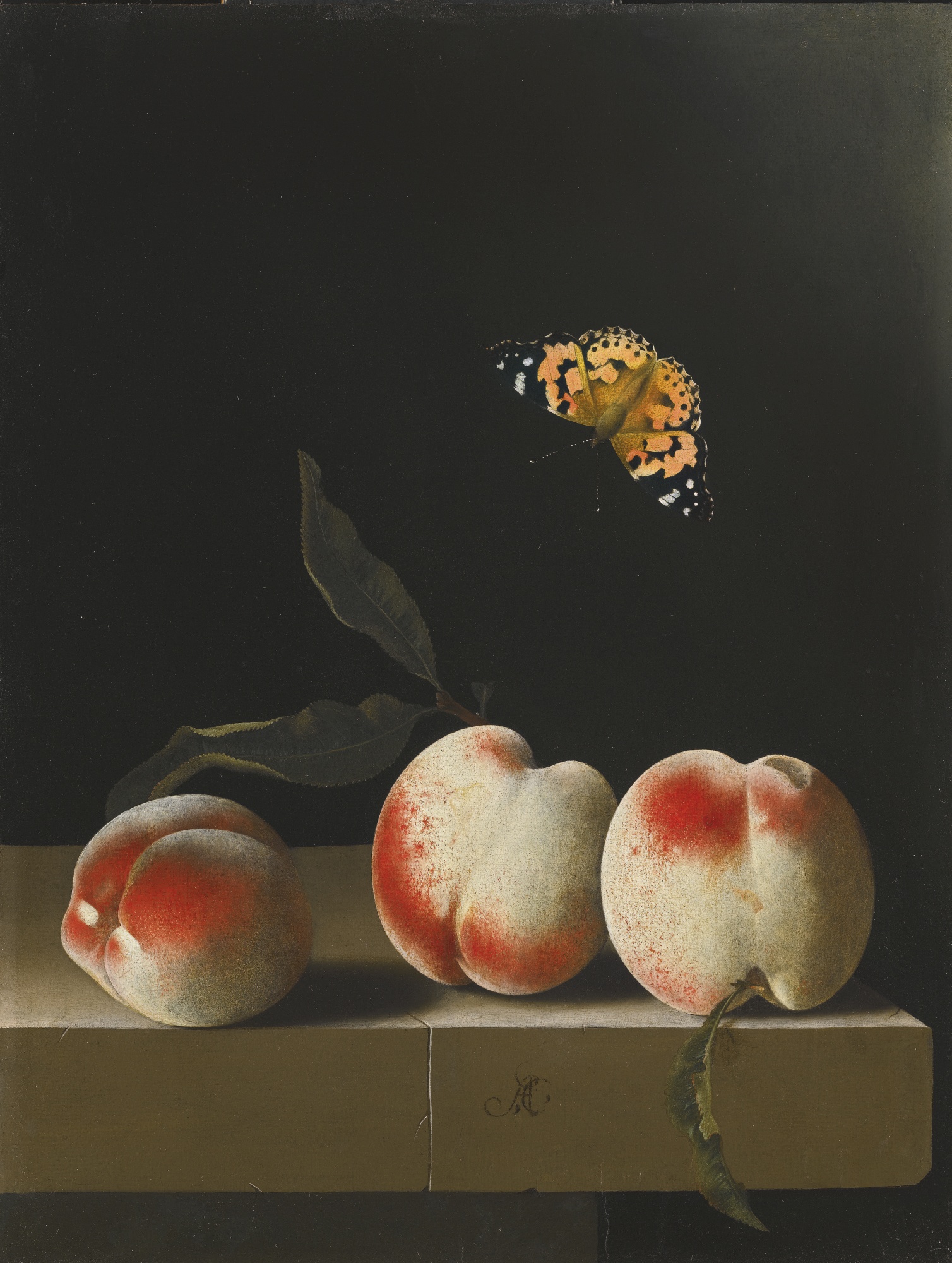 1508x2000 Fileadriaen Coorte - Painting Of Peaches