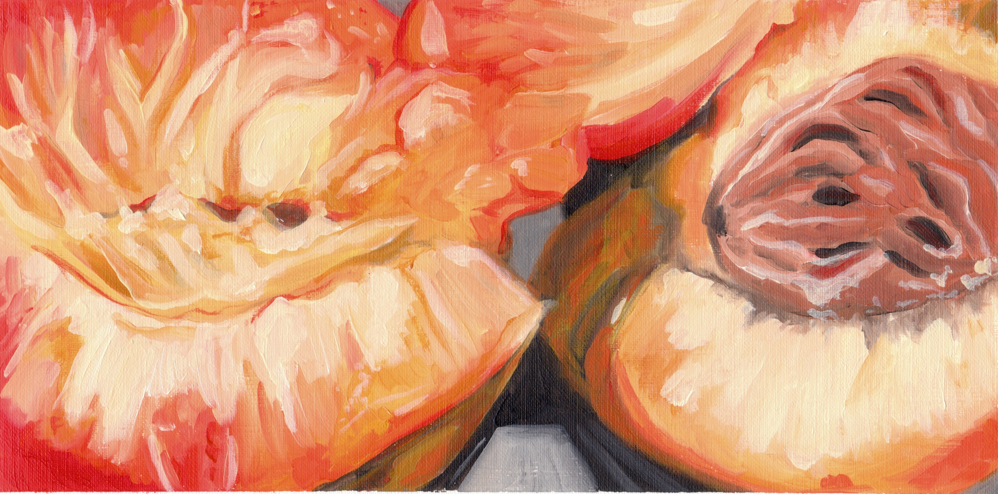3449x1708 Peach Oil Painting Study - Painting Of Peaches
