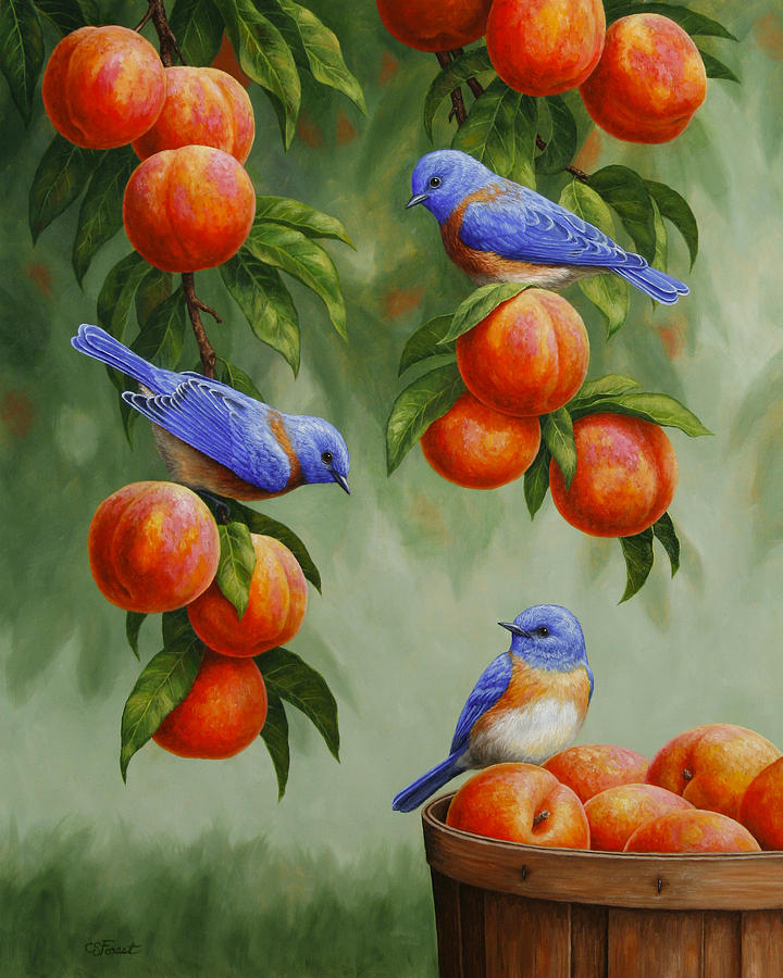 720x900 Bird Painting - Painting Of Peaches