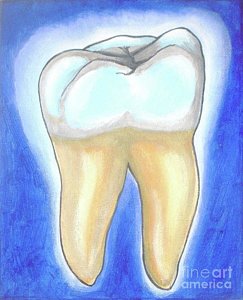 243x300 Human Teeth Paintings Fine Art America - Painting Of Teeth