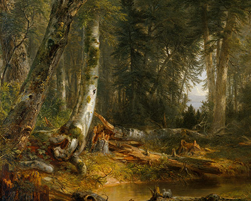 500x400 In The Woods Asher Brown Durand 95.13.1 Work Of Art - Painting Of The Woods