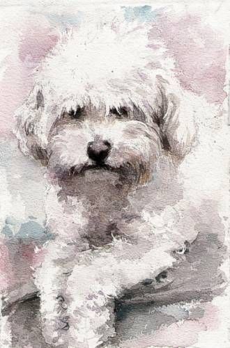 330x500 Painting White Fur - Painting Of White Dog