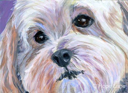 432x312 Dog Painting Archives - Painting Of White Dog